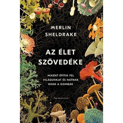 Az élet szövedéke - Miként építik fel világunkat és hatnak ránk a gombák