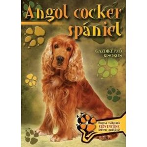 Angol cocker spániel
