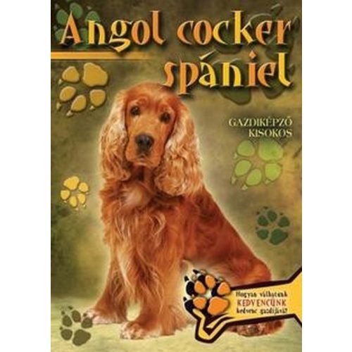 Angol cocker spániel