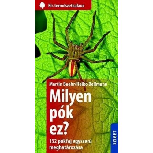 Milyen pók ez? - 132 pók egyszerű meghatározása