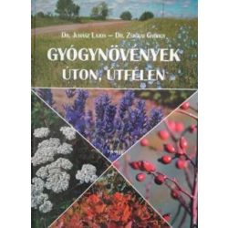 Gyógynövények úton, útfélén