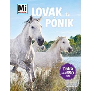 Lovak és pónik - Több mint 650 fotó - Mi MICSODA