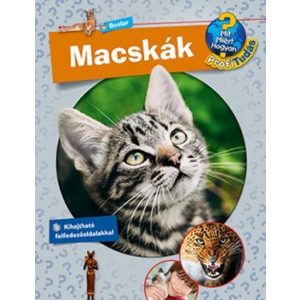Macskák - Profi Tudás 8.