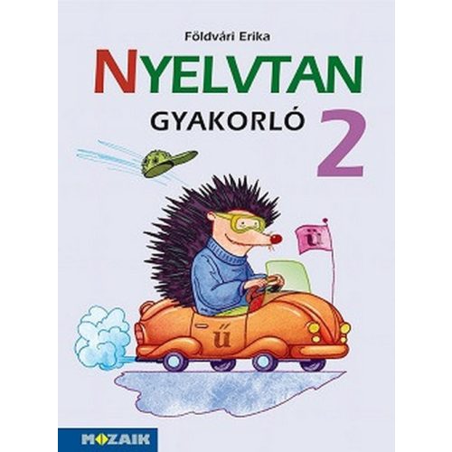 Nyelvtan gyakorló 2. osztály MS-1627