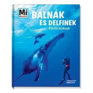 Bálnák és delfinek - Szelíd óriások