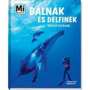 Bálnák és delfinek - Szelíd óriások