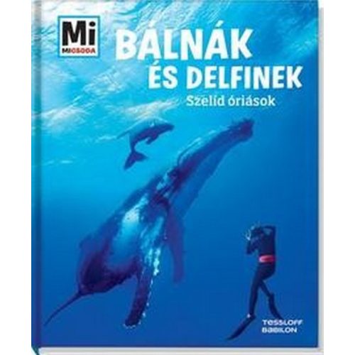 Bálnák és delfinek - Szelíd óriások