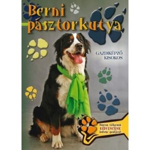 Berni pásztorkutya