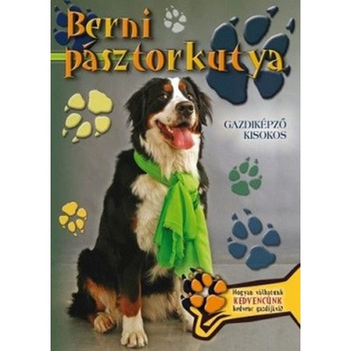 Berni pásztorkutya