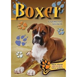 Boxer