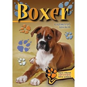 Boxer