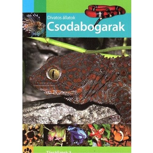 Csodabogarak - Divatos állatok