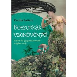   Boszorkányok vadnövényei - Vadon élő gyógynövényeink mágikus ereje