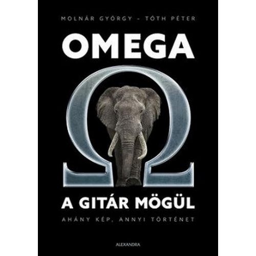 Omega a gitár mögül