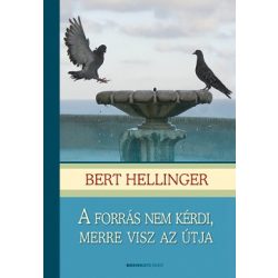 A forrás nem kérdi, merre visz az útja (puha borítós)