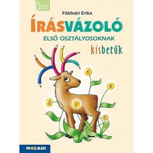 Írásvázoló 1. osztályosoknak - Kisbetűk (MS-1651V)