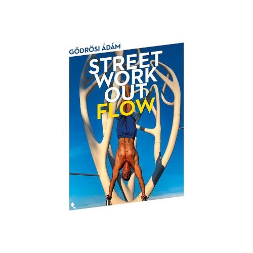Street workout flow