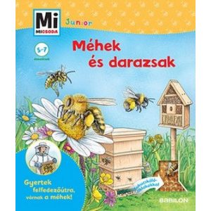 Méhek és darazsak