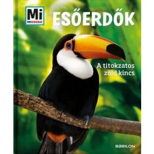 Esőerdők - A titokzatos zöld kincs 