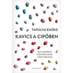   Kavics a cipőben - Apró akadályok, mély felismerések, valódi változások