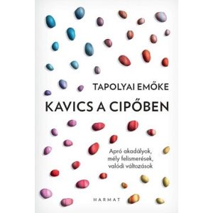 Kavics a cipőben - Apró akadályok, mély felismerések, valódi változások
