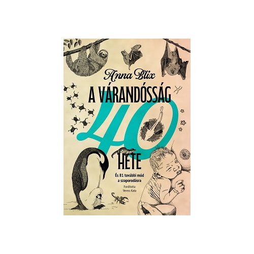 A várandósság 40 hete - És 81 további mód a szaporodásra