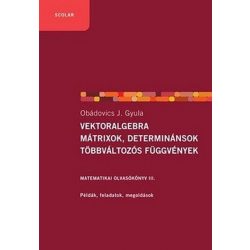   Vektoralgebra, mátrixok, determinánsok, többváltozós függvények - Matematika olvasókönyv III.