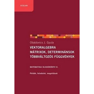 Vektoralgebra, mátrixok, determinánsok, többváltozós függvények - Matematika olvasókönyv III.