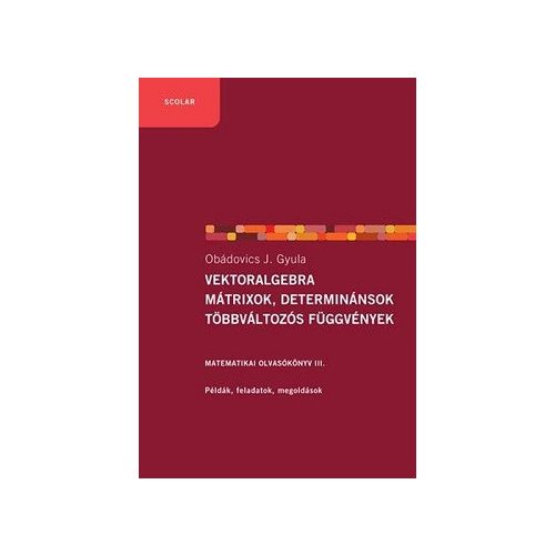 Vektoralgebra, mátrixok, determinánsok, többváltozós függvények - Matematika olvasókönyv III.