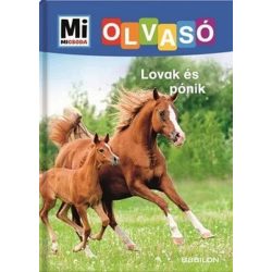 Lovak és pónik