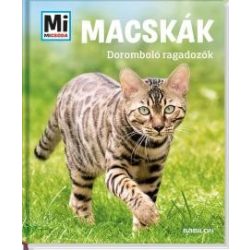Macskák - Doromboló ragadozók