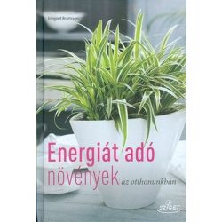Energiát adó növények az otthonunkban