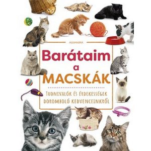 Barátaim, a macskák