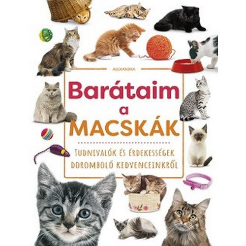Barátaim, a macskák