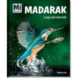 Madarak - Légi akrobaták