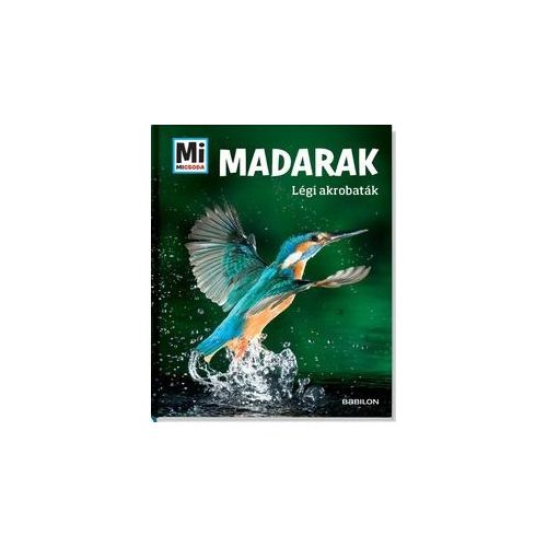 Madarak - Légi akrobaták