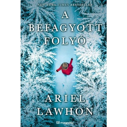 A befagyott folyó