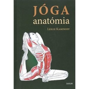Jóga anatómia
