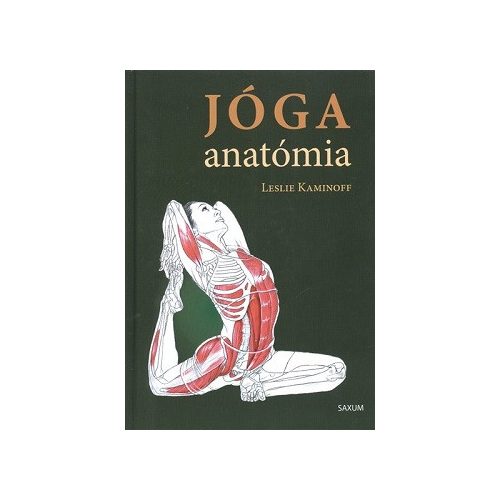 Jóga anatómia