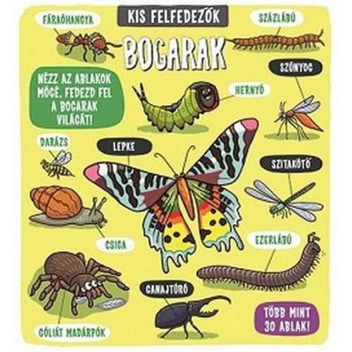 Kis felfedezők - Bogarak