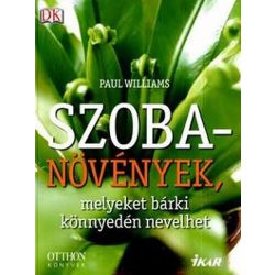 Szobanövények, melyeket bárki könnyedén nevelhet