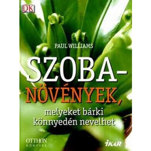 Szobanövények, melyeket bárki könnyedén nevelhet