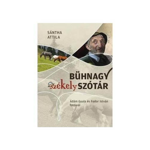 Bühnagy székely szótár