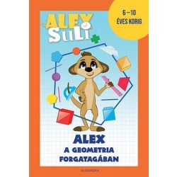 Alex Suli - Alex a geometria forgatagában