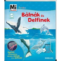 Bálnák és delfinek