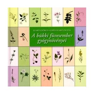A bükki füvesember gyógynövényei