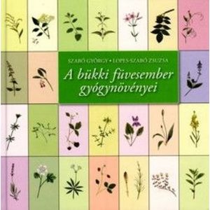A bükki füvesember gyógynövényei