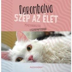   Dorombolva szép az élet - Magyarország legaranyosabb cicái (Öröknaptár)