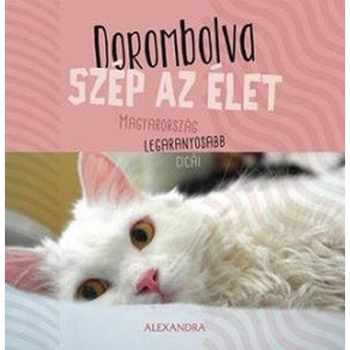 Dorombolva szép az élet - Magyarország legaranyosabb cicái (Öröknaptár)