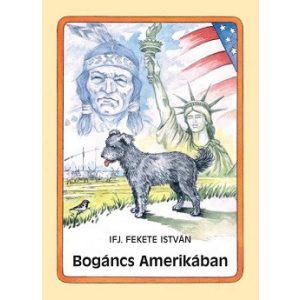 Bogáncs Amerikában